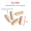 Allergy Research Group Ox Bile 500mg - Ox Bile Supplements