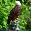 Tomotato Eagle Garden Statue,Bald Eagle Statue Simulated Eagle Shape Garden