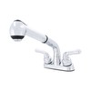 Wasserman 2 Handle Utility/Laundry/Shop Sink Faucet with Pull Out Sprayer