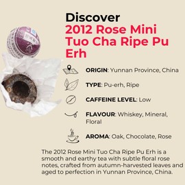Teapro 2012 Rose Mini Tuo Cha Ripe Pu Erh (45pcs) | Shu Puer Tea for Digestive Health | Premium Aged Pu-erh Mini Cakes Chinese Tea