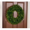 Wicker Park 24" Indoor/Outdoor Boxwood Wreath:_Lilac