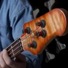 2L2R Fishtail shaped Button Sealed Bass Guitar Tuning Pegs Machine