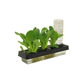 Hydroponic Cultivation Kit for Vegetables Without Using Soil! Hydroponic Cultivation Kit, Mini