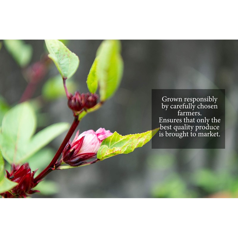 Karibbean Flavours Sorrel Hibiscus Concentrate | 750 Ml / 26