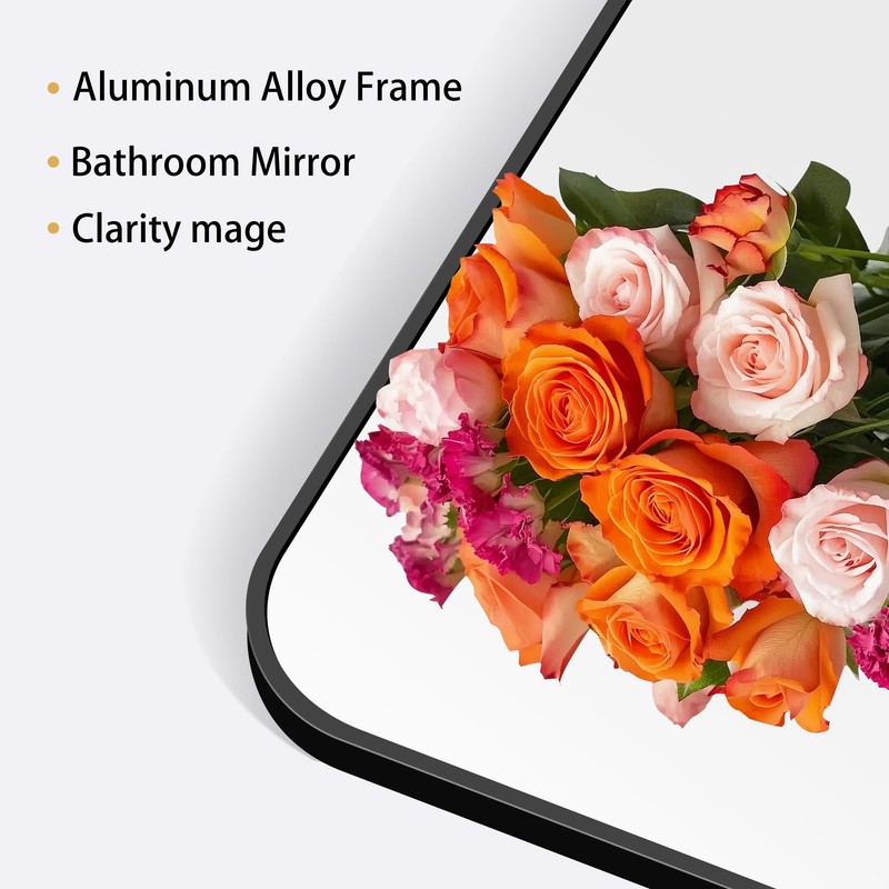 DESBING 24" x 55"Bathroom Mirror, Matte Black Wall Mirror with