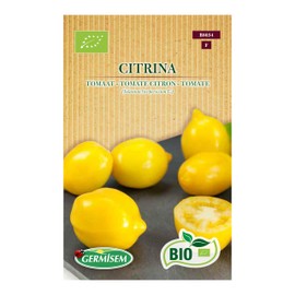 Tomato Citrina
