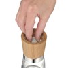 WMF 06.5230.4500 - Macinaspezie da 13,8 cm, trasparente
