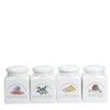 PORCELLANA Conserva Turmeric Container 180ml