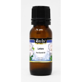 Lantana Pure Essential Oil (0.50 oz, ZIN: 305437)