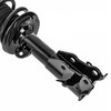 Torchtree Front Struts and Shocks Complete Assembly Amortiguadores Delanteros for
