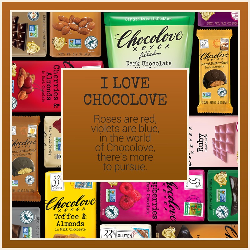 Chocolove Hazelnut Milk Chocolate Bars | 33% Cocoa | Roasted