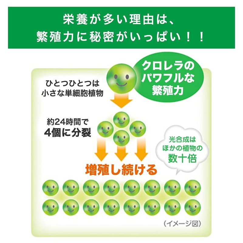 山田養蜂場 100％クロレラ粒 1000粒 ビン入 [ クロレラ ]