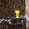 Hawk Cruzr Convenient Easy to Setup Safe Durable Hunting Tree