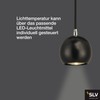 SLV Pendant Light Eye Ball