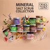 Dead Sea Collection Almond Vanilla Salt Scrub – Exfoliating Body