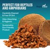 Repti Casa Organic Coconut Chips Expandable Substrate Block for Reptiles