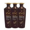 Sellerhub [셀러허브]려 홍진단 홍삼 모발영양 샴푸 820ml x3 (S29988844) Seller Herb Red Ginseng Hair Nutrition Shampoo 820ml x3 [Single]