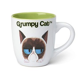 PetRageous G16106 Grumpy Cat Dishwasher and Microwave Safe Mug 4-Inch Tall 4-Inch Diameter 18-Ounce Capacity, White