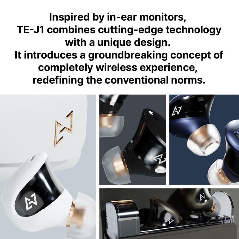 AVIOT TE-J1 Advanced Hybrid Driver,Hybrid Active Noise Cancelling, High-Resolution Audio,