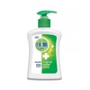 [MEK47Q7N_5C] Dettol 250ml / [MEK47Q7N_5C]데톨 250ml
