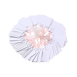 Tag Price Display Tags White Jewelry Marking Writable Label Paper Strung Labels Stringwritable Gift Clothing