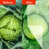 Agfabric Garden Netting 6'x10' Insect Pest Barrier Bird Netting for