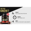 Optimum Nutrition Optimum Nutrition, 100% WHEY Gold Choc 5LB