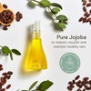 THE JOJOBA COMPANY Australian Jojoba Oil for Face & Body