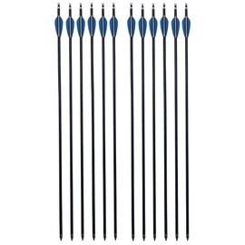AMEYXGS 12 Pack 30 Inch Archery Aluminum Arrows Spine 300 Hunting Arrows Target Practice Arrow with Field Point for Recurve Bow or Compound Bows (Arrow)