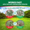 Eco Living Solutions Weed Killer Concentrate - Pet Safe, Organic