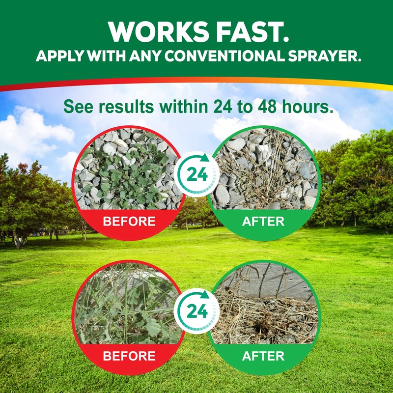 Eco Living Solutions Weed Killer Concentrate - Pet Safe, Organic