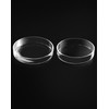 QWORK Glass Petri Dishes with Lid, Thicken, 120mm x 26mm,