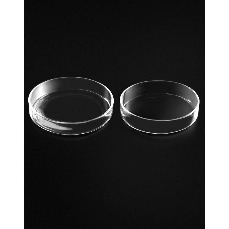 QWORK Glass Petri Dishes with Lid, Thicken, 120mm x 26mm,