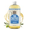 BAMBOO AND BIRCH Bamboo And Birch Pure Castile Soap Liquid