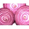 Onion RED Creole Great Heirloom Vegetable by Seed Kingdom Bulk