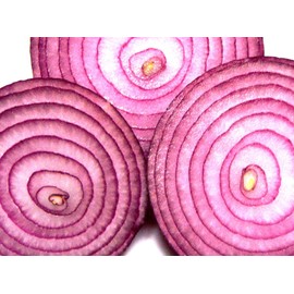 Onion RED Creole Great Heirloom Vegetable by Seed Kingdom Bulk 1/4 Lb Seeds