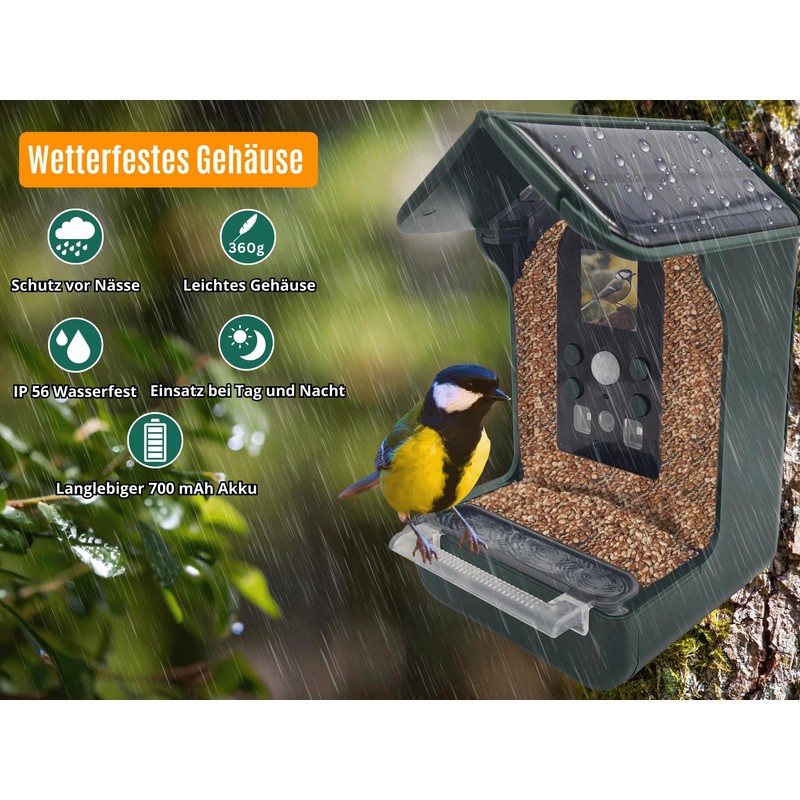 Berger & Schröter Bird Feeder with 1080P Camera, Solar Water