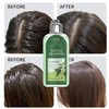 ANNAS Nettle Shampoo - Organic Formula,Helps Regulate Sebum Production, Reduce