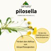 LEMURIA - Pilosella E.T. - Dietary supplement based on plants
