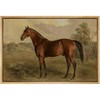 SIGNFORD Framed Canvas Print Wall Art Equestrian Portrait of a