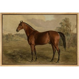 SIGNFORD Framed Canvas Print Wall Art Equestrian Portrait of a Chestnut Horse Classic Equine Illustrations Modern Art Minimal Relax/Calm for Living Room, Bedroom, Office - 24"x36" Natural