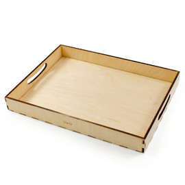 Ulanik Tray for Sorting Montessori Wooden Sorting Tray Age 3+, Color Sorting and Counting Preschool Learning Education Toys