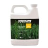 Endurant Turf Colorants - Premium Spray On Green Grass Paint