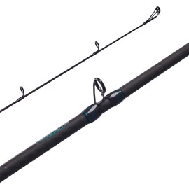 Fenwick HMG Inshore Casting Fishing Rod