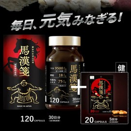Maca Mountain Upgrade Mahajeon Macansen 120 capsules + 20 capsules, 1 set, 140 tablets / 마카마운틴 업그레이드 마한전 마칸센 120캡슐+20캡슐, 1세트, 140정