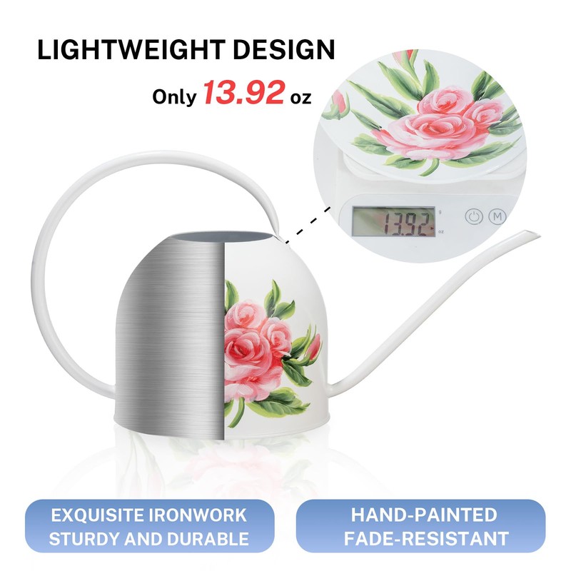 Metal Small Watering Can for Indoor Outdoor Plants, Pretty Water