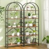 Shintenchi Shintenchi Bookshelf, Arched Bookshelf 5 Tier Bookcase, Tall Shelf