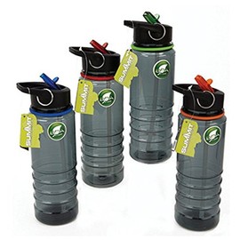 PMS 700ML BPA FREE WATER BOTTLE W/FOLDING STRAW & CARIBINER