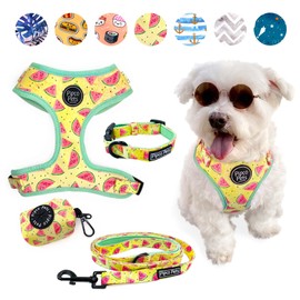 4-Piece Walkies Bundle [Pipco Pets] - Adjustable Dog Harness + Collar + Lead + Poo Bag Dispenser | Cute Colourful Patterns | Perfect Fit, Escape Proof Vest | Safe and Secure | (S, Summer Melons)