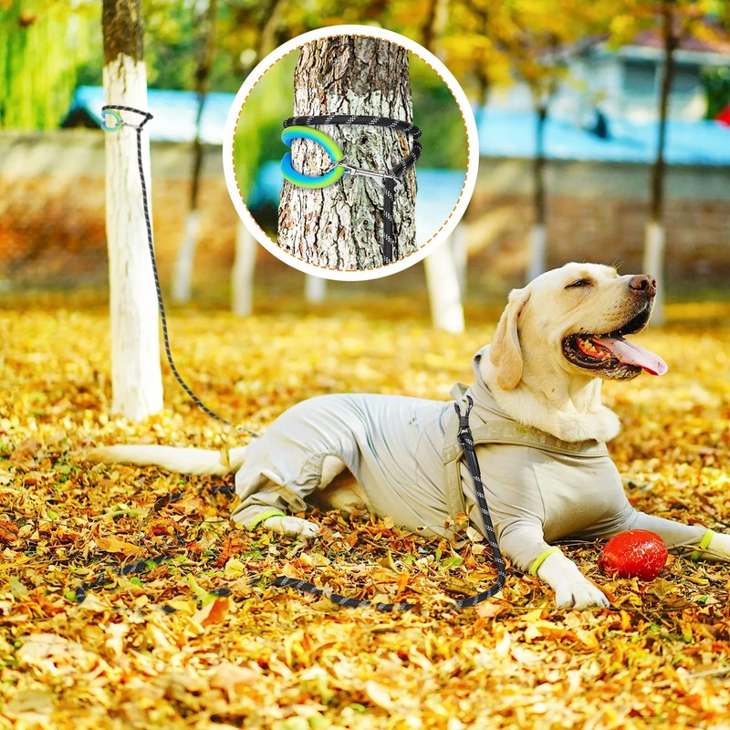 Long Dog Leash for Dog Training 10FT/15FT/20FT/30FT/40FT/50FT/100FT Reflective Leash with